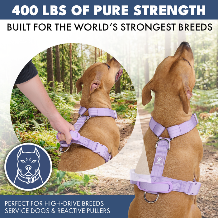Lilac Harness