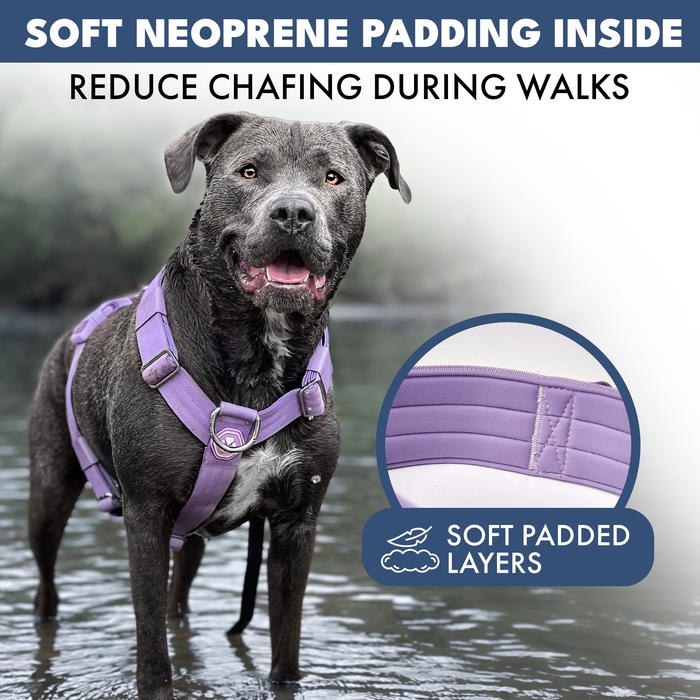 Lilac Harness