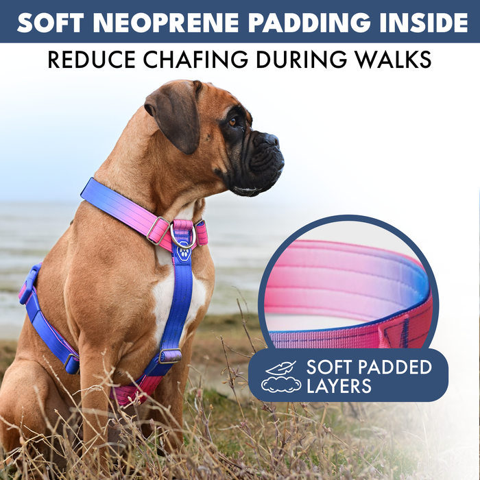 Snow Cone Harness