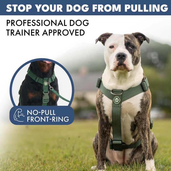 Green Harness
