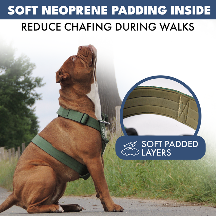 Green Harness