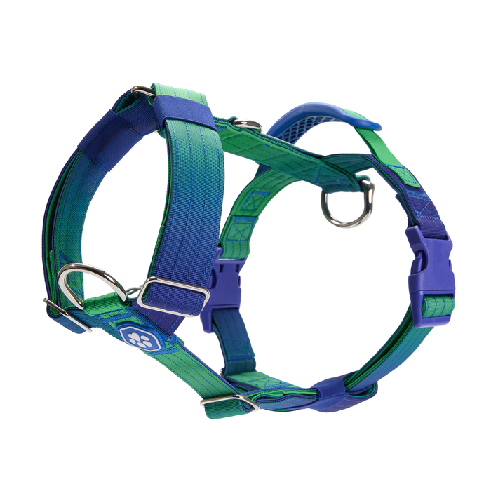 Lime Wave Harness / Size 3