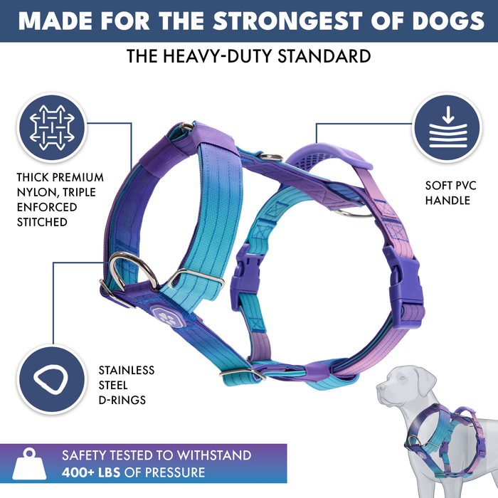 90s Retro Harness