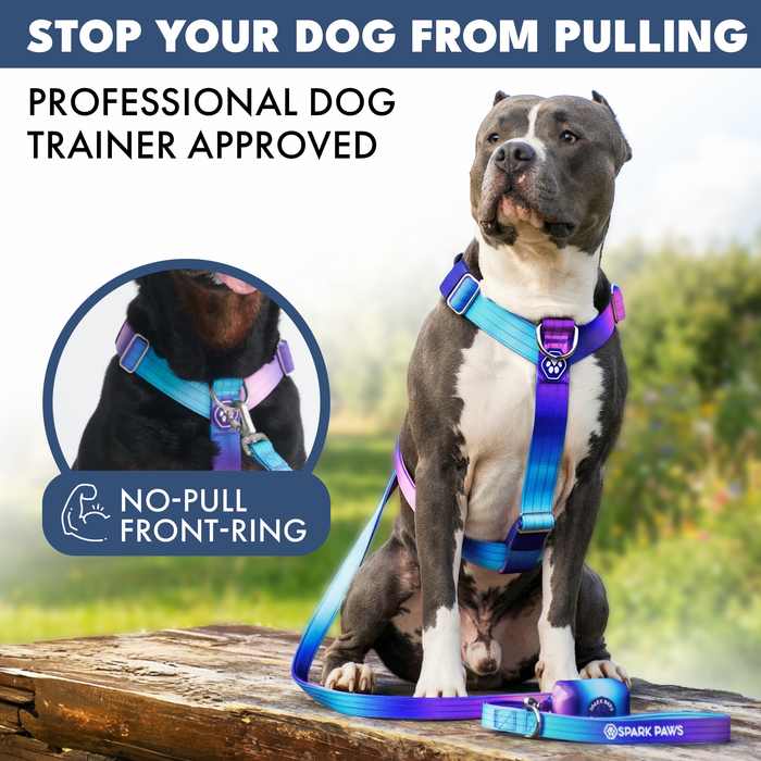 90s Retro Harness