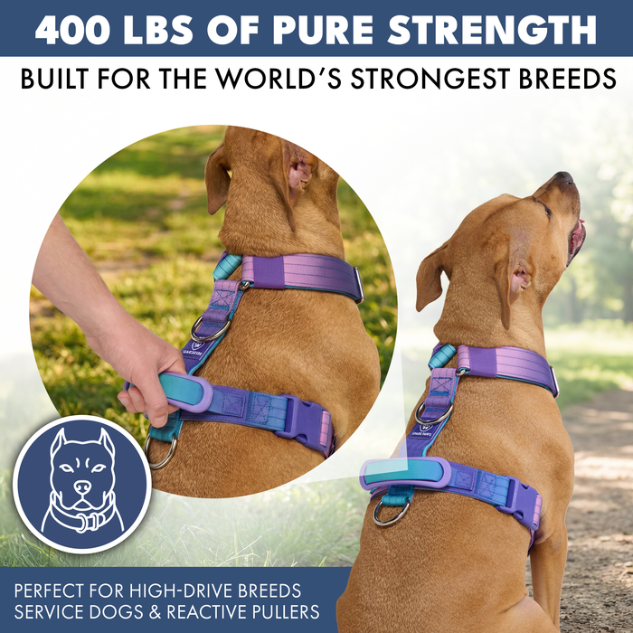 90s Retro Harness