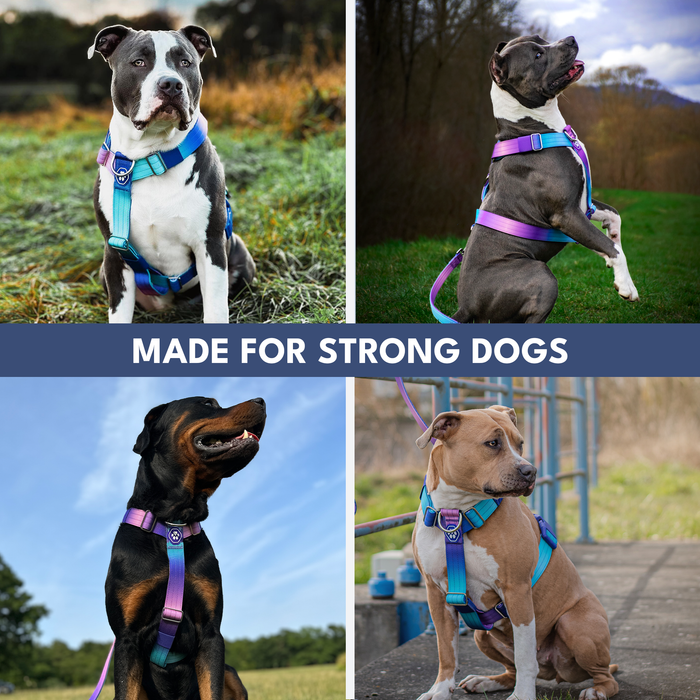 90s Retro Harness