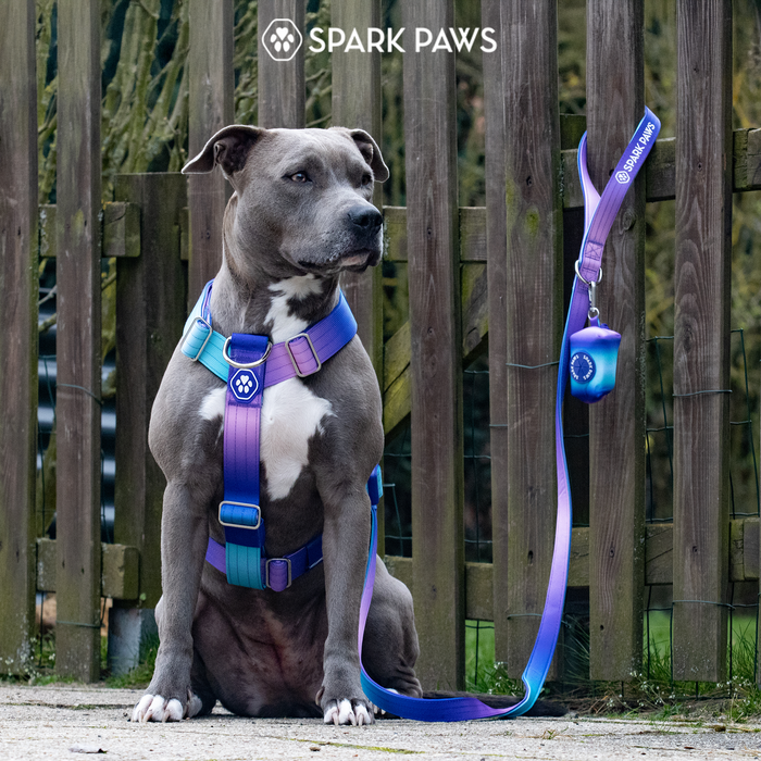90s Retro Harness