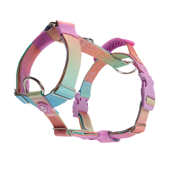 Pastel Icing Harness / Size 3
