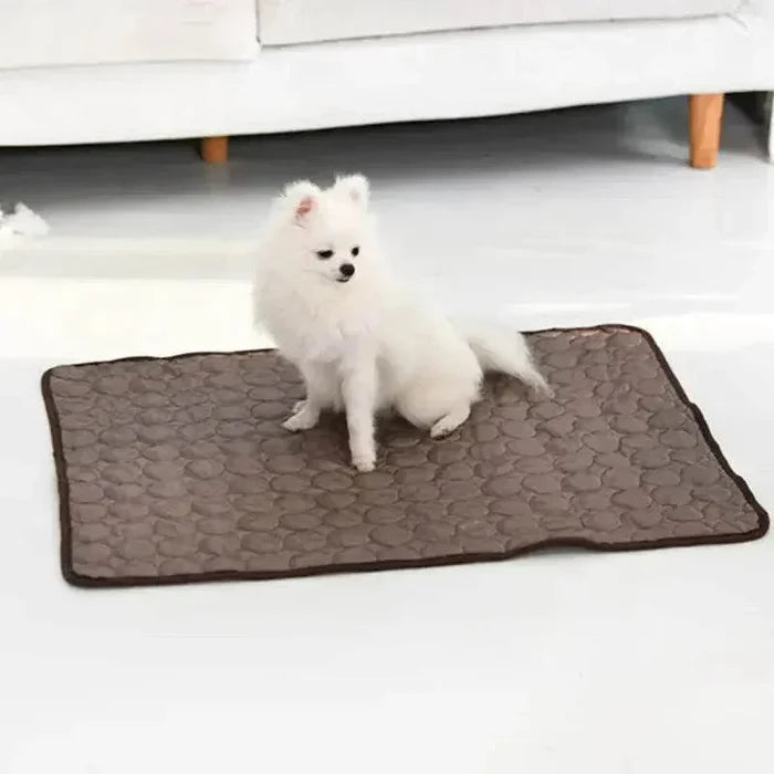 syUpfc6dcdITM1Xg - Nai Pet Store