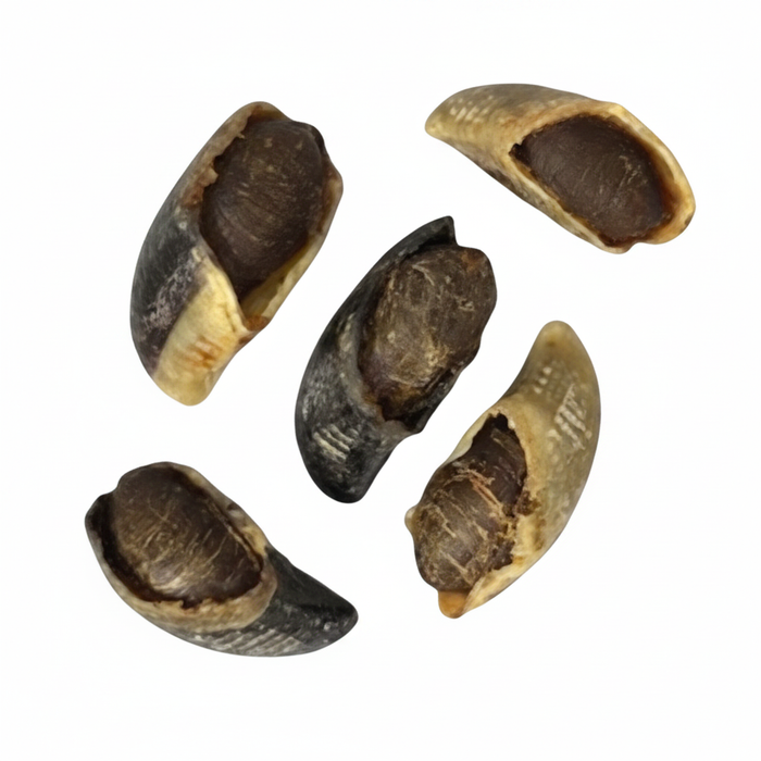 Duck Claws - Professional Product Image