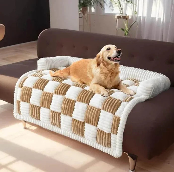 Golden retriever on cozy checkered dog bed with raised edges, perfect for pet comfort and sofa protection