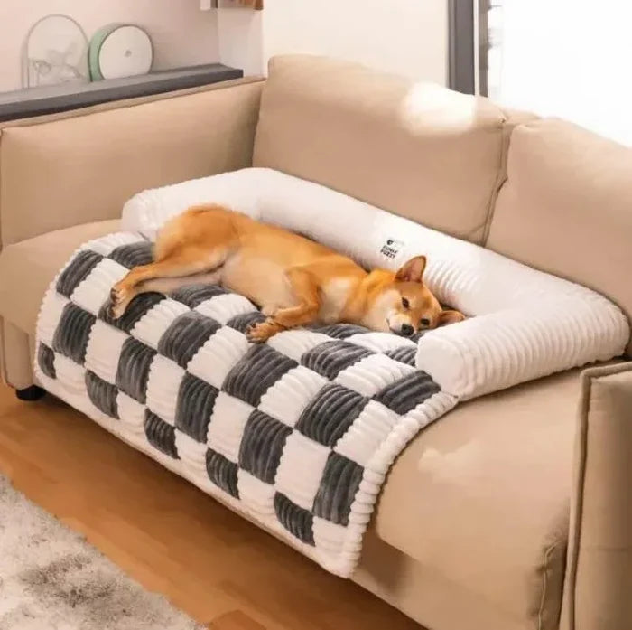 Cozy dog sleeping on checkered sofa bed with raised edges for pets