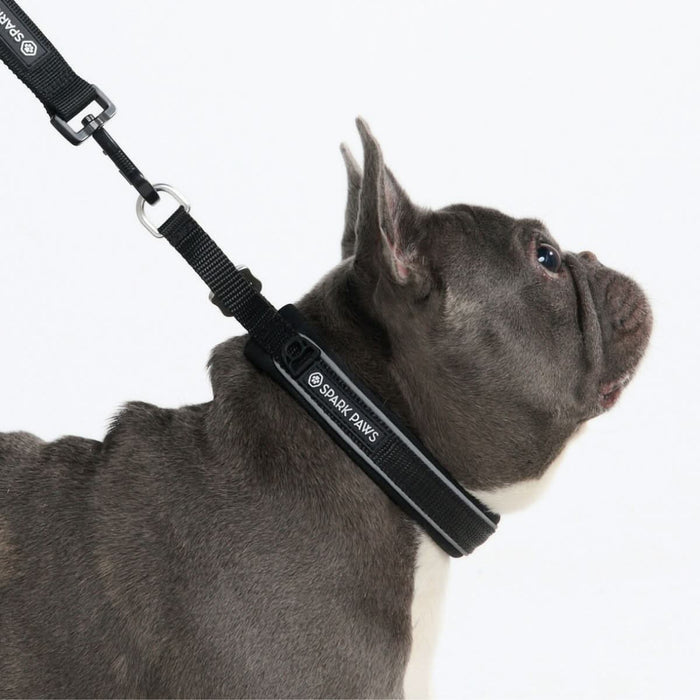 Black Martingale Collar||size:A,B