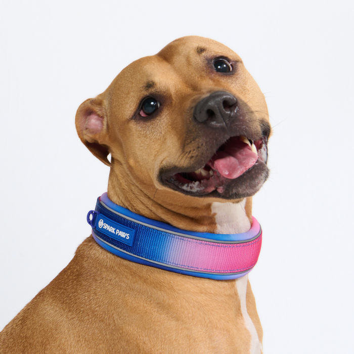 Snow Cone Martingale Collar||size:C,D,E