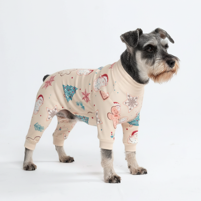 Frosty Night PJ||size:M
