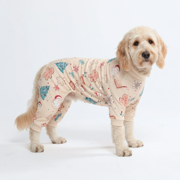 Frosty Night PJ||size:2XL