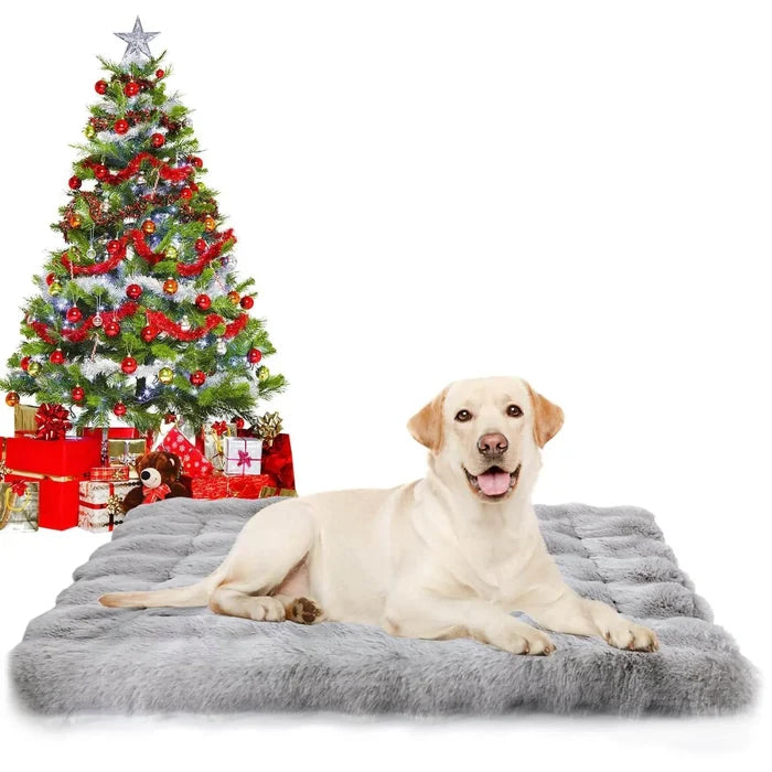 F8GcoyM6d9t8rkTl - Nai Pet Store