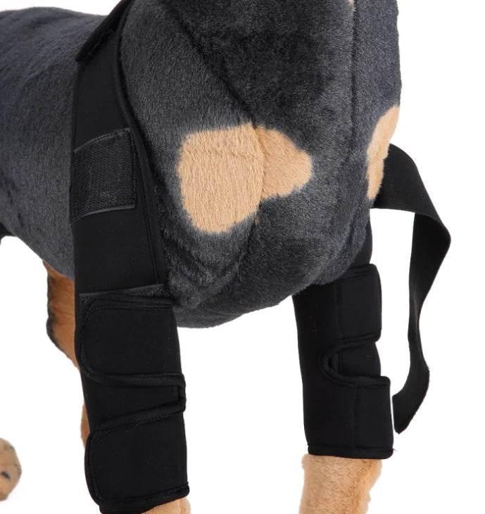 1al5eU0YVrWdjBrs - Nai Pet Store