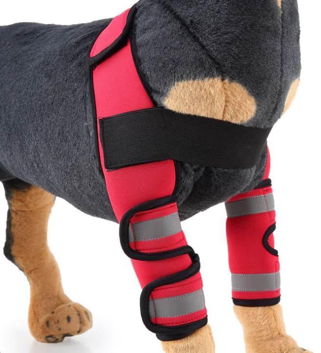 XiQA3R2z85eyN2oG - Nai Pet Store