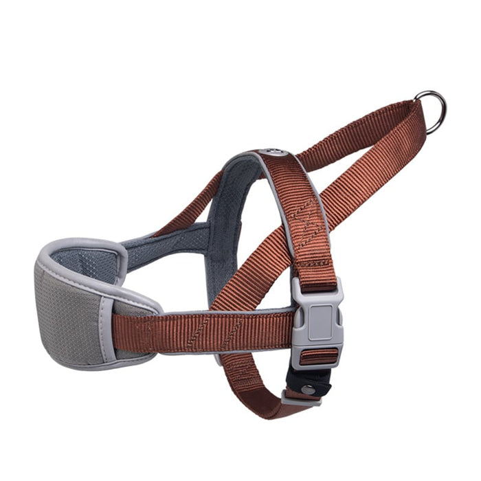 Comfortable dog harness with padded chest and adjustable straps for secure fit