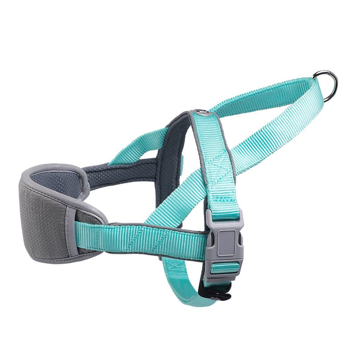 Teal and gray dog harness with padded chest and adjustable straps for comfortable pet walking