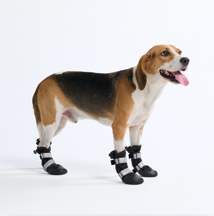 Dog Rainboots, Waterproof Dog Shoes - Black