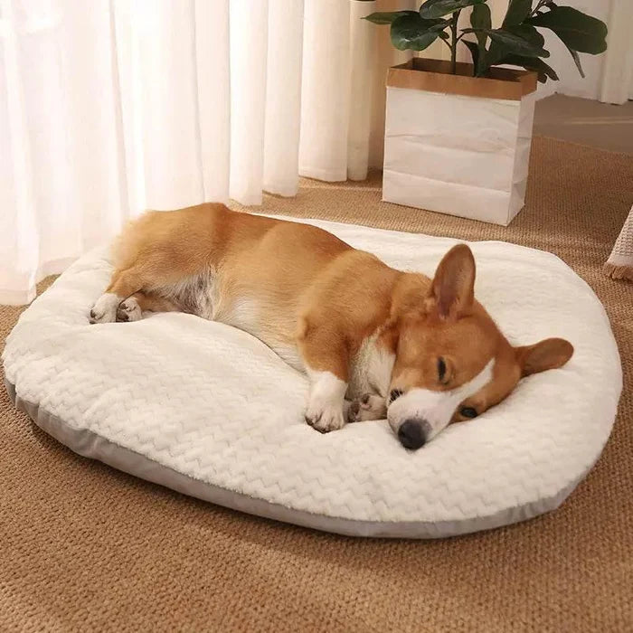 zDZfmWy19Rx7clUp - Nai Pet Store