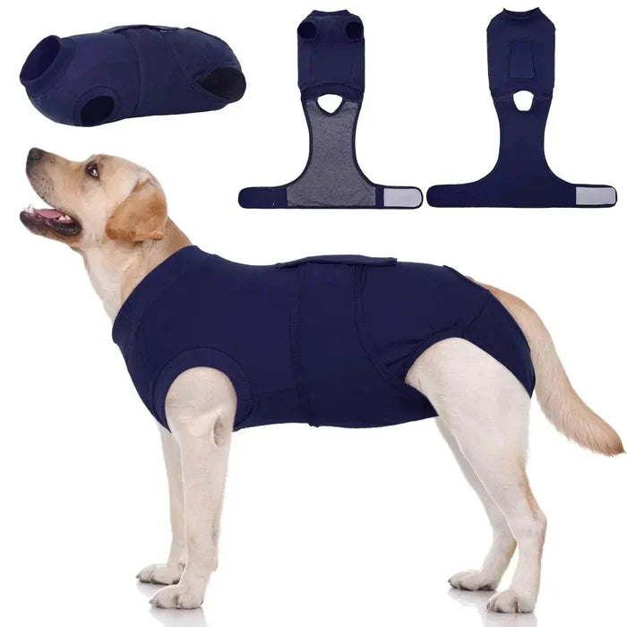 jl3zBq1vkHy71PeJ - Nai Pet Store