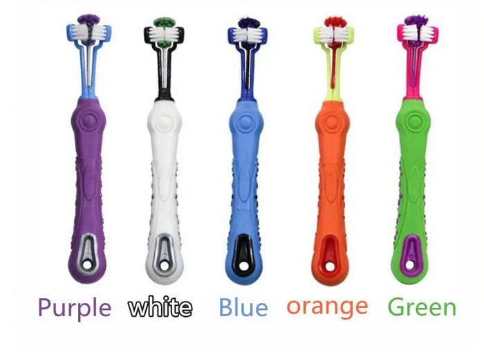 Colorful pet toothbrushes in purple, white, blue, orange, green for dog and cat dental care