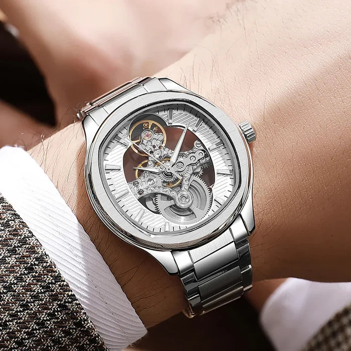Dulunwe Luxury Mechanical Watch for Men