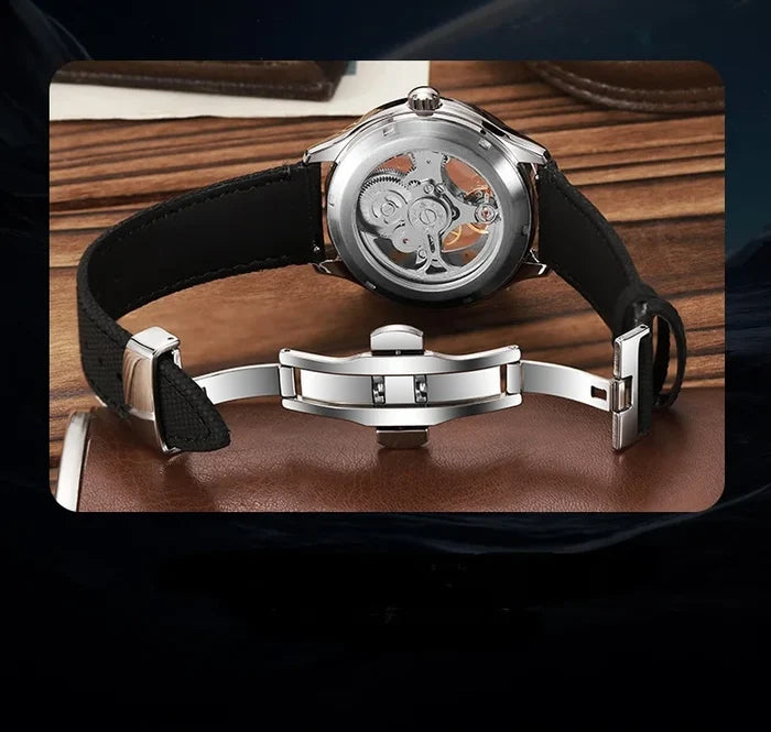 Dulunwe Luxury Mechanical Watch for Men