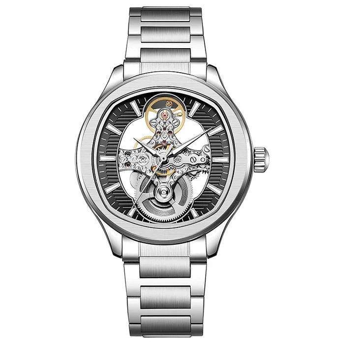 Dulunwe Luxury Mechanical Watch for Men