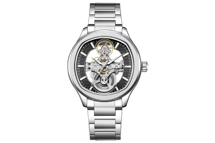 Dulunwe Luxury Mechanical Watch for Men