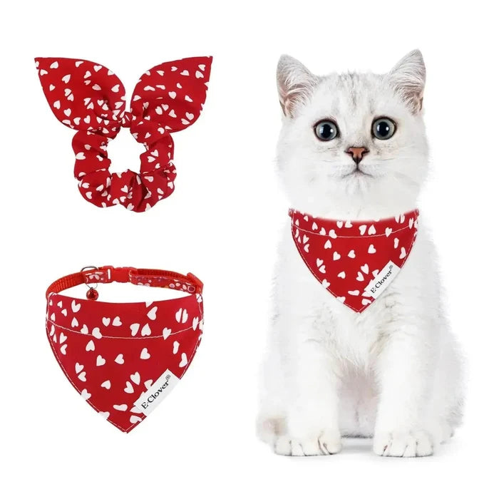 NsxBpFOUXuQE8fpw - Nai Pet Store