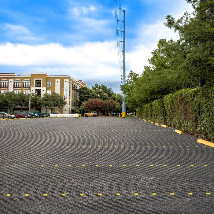 EasySpots - Paver Marking System - 25 Pack - Standartpark