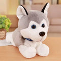 NurQfHgXeFquHa6j - Nai Pet Store