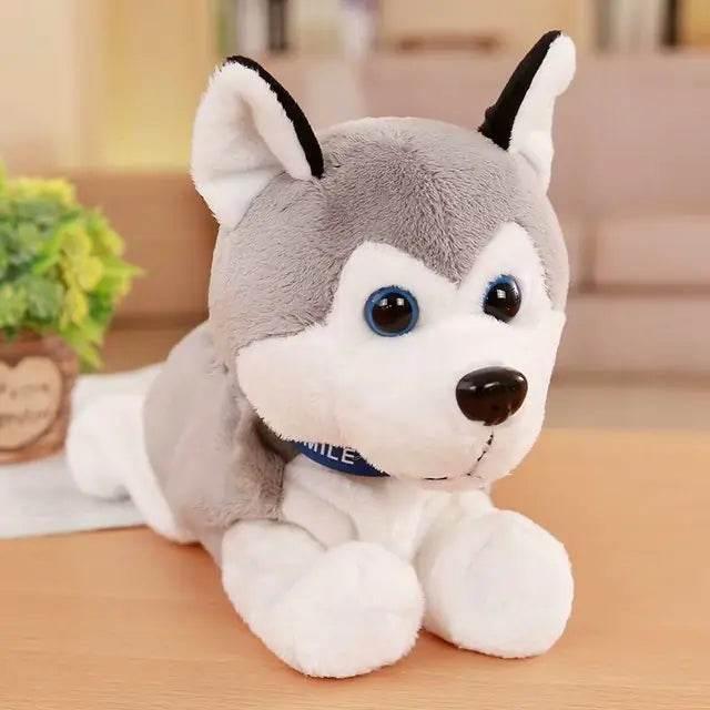 NurQfHgXeFquHa6j - Nai Pet Store