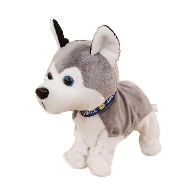 EbLc3JpmbeWL9NUg - Nai Pet Store