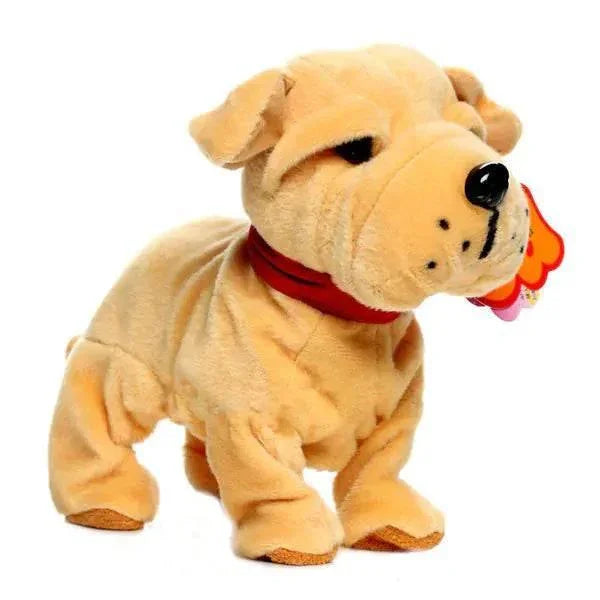 VZeQ0SW8xYYHXwgX - Nai Pet Store