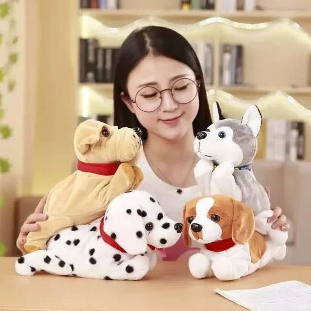 GSXzEa785wd0ZfEI - Nai Pet Store
