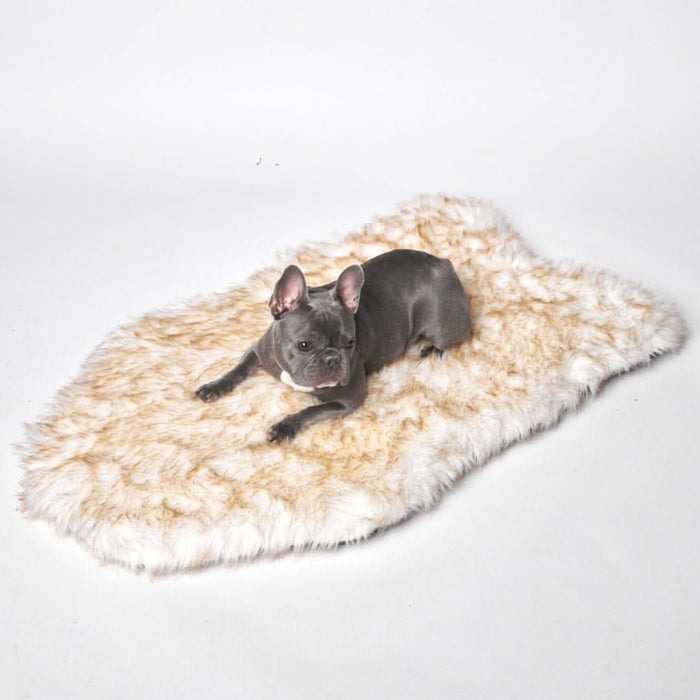 Faux Fur Memory Foam Rug Dog Bed