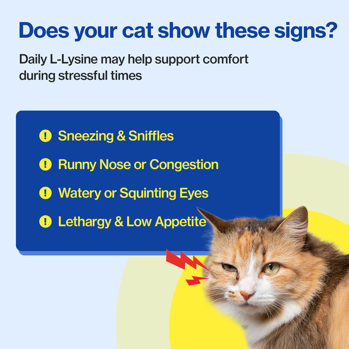 Felysin for Cats L-Lysine Immune & Allergy Support