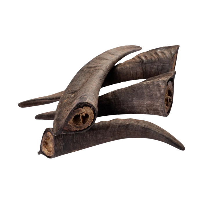GOAT ANTLERS.