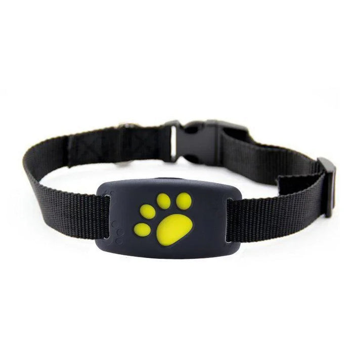 571516644457 - Nai Pet Store
