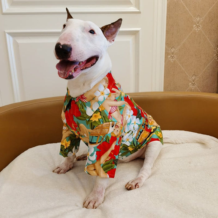 Bull terrier in colorful Hawaiian shirt on cozy pet bed, fun dog fashion for summer