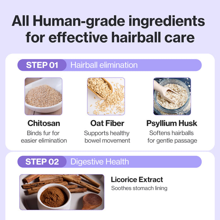 HB Care for Cats Hairball Support