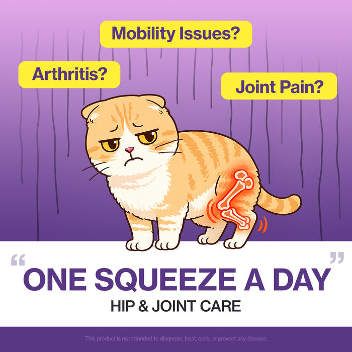 HJ Care for Cats Hip & Joint Support