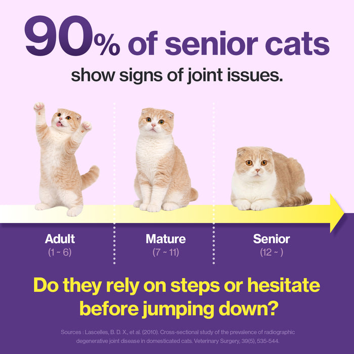 HJ Care for Cats Hip & Joint Support