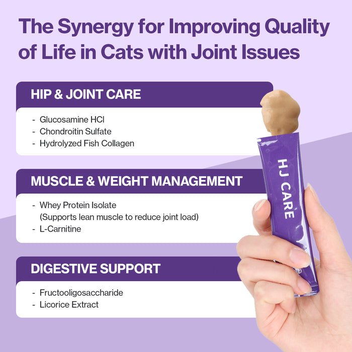 HJ Care for Cats Hip & Joint Support