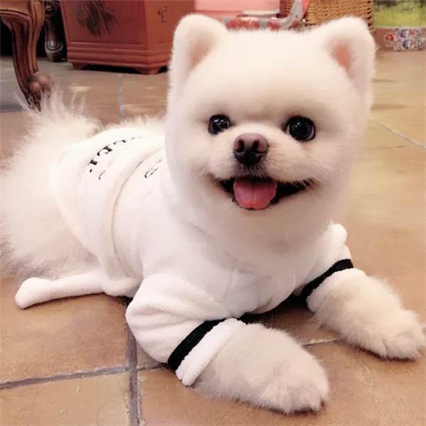 nBlTZAFCD5ws3cUR - Nai Pet Store